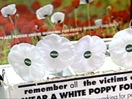poppy_box