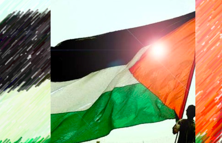 Fredericton to rally for Gaza Freedom Flotilla