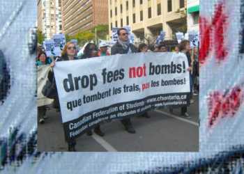 Project Hero, education and occupation