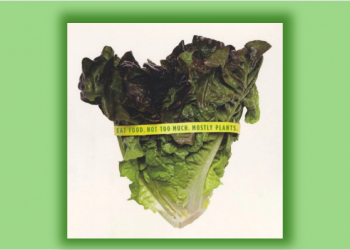 Everything my mother taught me about food was wrong: a reflection on Michael Pollan’s In Defense of Food