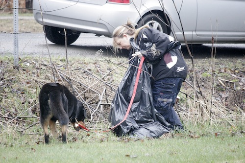 The clean up wasn't just for people. Some members brought their four legged friends who enjoy the walking trails more than they do. Photo: Ethan Haslett. corinne