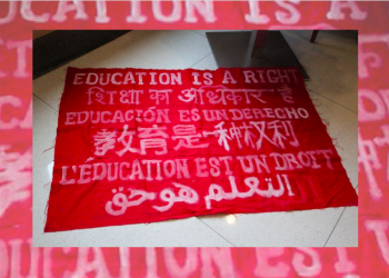Is the International Student Movement the future of global organizing?