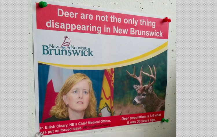 Community rallies behind Dr. Eilish Cleary, NB’s Chief Medical Officer put on leave