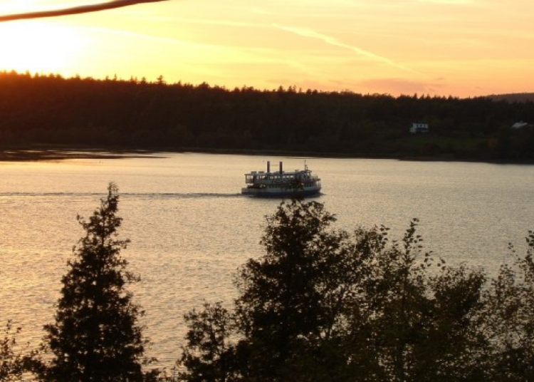 Taking back our resources – A letter from New Brunswick’s future #7