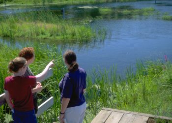 Action on wetlands and watersheds in New Brunswick needs to be a priority