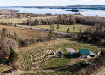 “We know what you are against, but what are you for?” Farming and permaculture in Bayside, New Brunswick