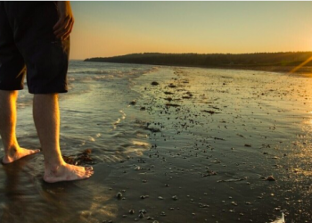 Invitation from CUPE to enjoy New Brunswick parks and attractions this summer