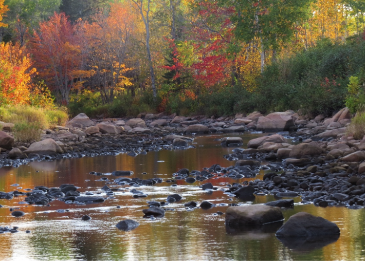 What drought? The worst drought New Brunswick has seen in decades