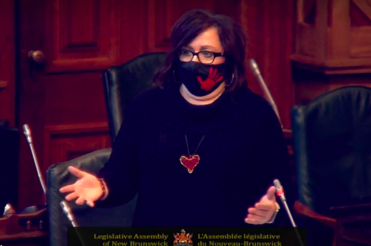 Opposition Day at the Legislature: Motion fails on inquiry into systemic racism